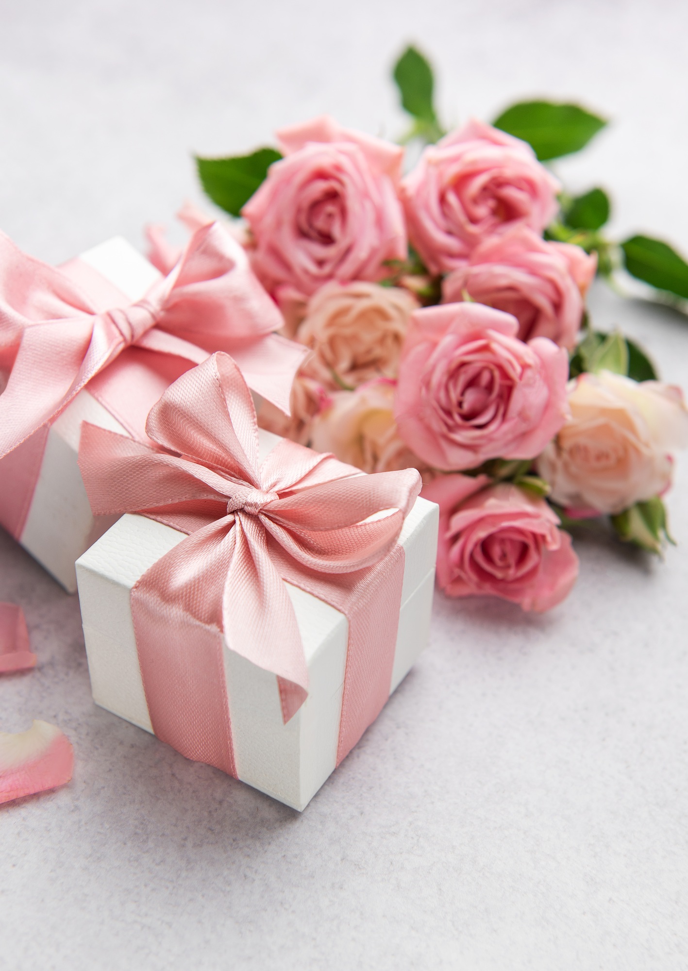 Delicate pink roses and gift boxes celebrating special occasion
